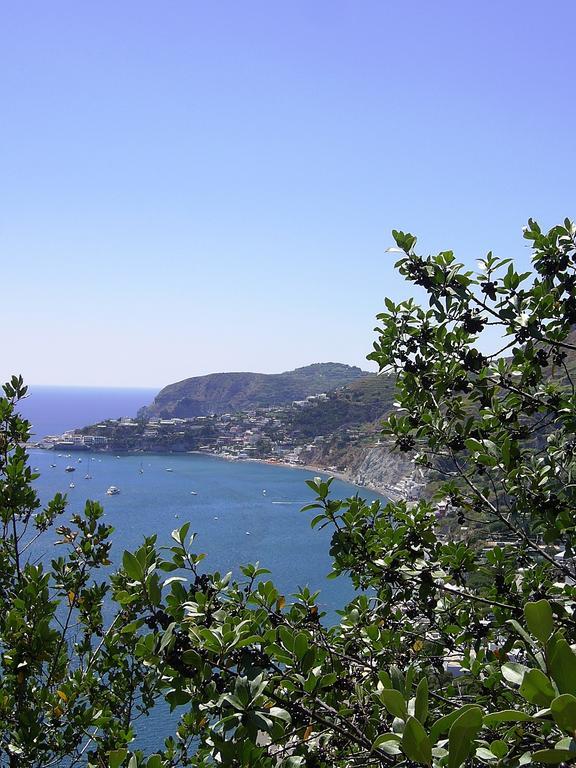 Hotel San Giovanni Terme Ischia Exterior photo